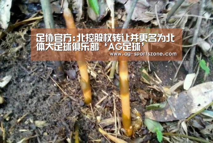 足协官方:北控股权转让并更名为北体大足球俱乐部‘AG足球’(图3) AG篮球