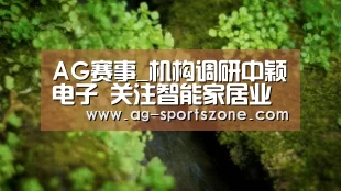 AG赛事_机构调研中颖电子 关注智能家居业务