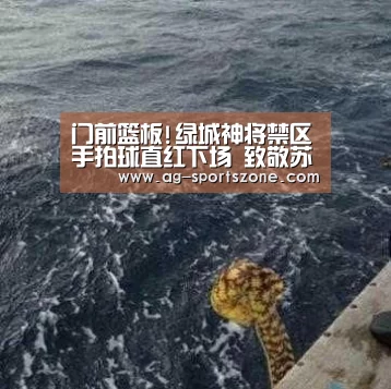 门前篮板!绿城神将禁区手拍球直红下场 致敬苏牙?‘AG赛事’(图1) AG赛事